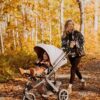ABC Design Salsa 5 Run 3in1 Maxi-Cosi Set - Thumbnail Image 9