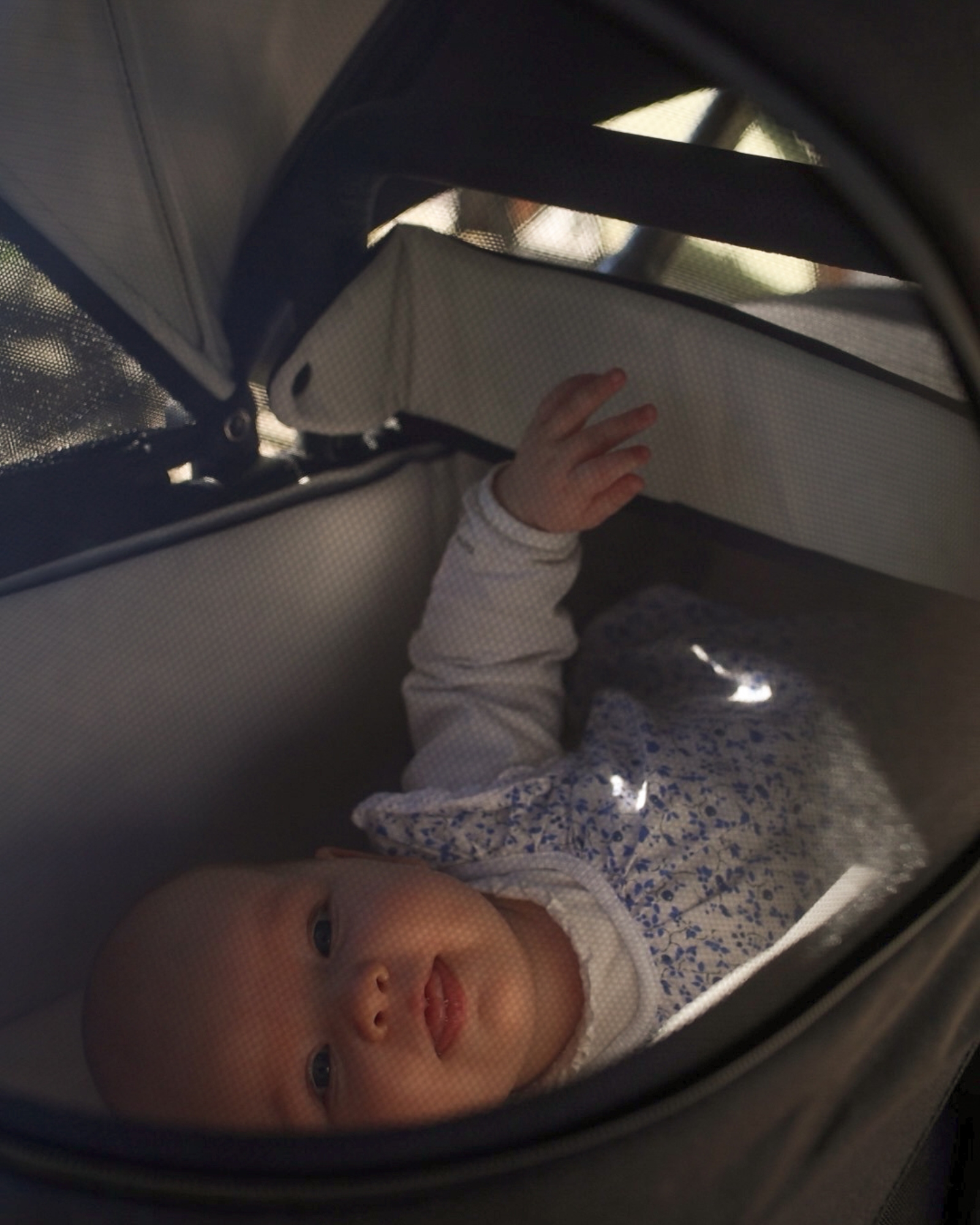 The Jiffle wagon 2+ Stroller Set - Image 7