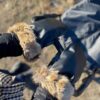 Kong.Walther Fur Stroller Gloves - Thumbnail Image 3